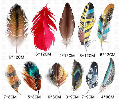 feather Stickers / Car Stickers / Car Decals / Refrigerator sticker | Bumper sticker | Diary sticker |  Scrapbook Stickers | Waterproof