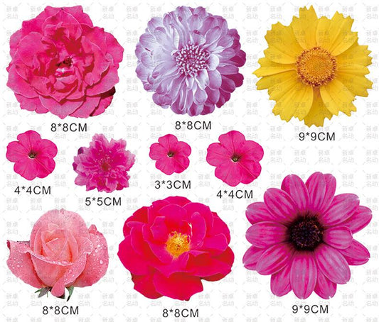 flower Stickers / Car Stickers / Car Decals / Bumper sticker / Refrigerator sticker / Diary sticker / Scrapbook Stickers / Flower decal